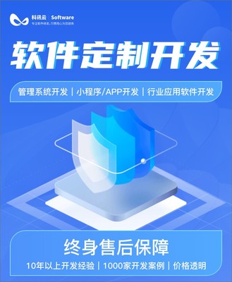 成都定制软件系统开发
